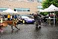 2024 FFld Car Show (113).jpg